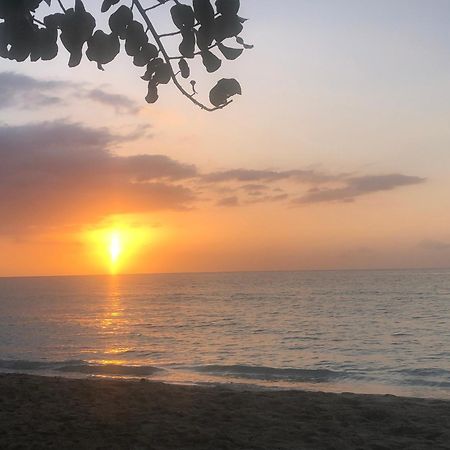 Andre'S Guest House Negril Ngoại thất bức ảnh